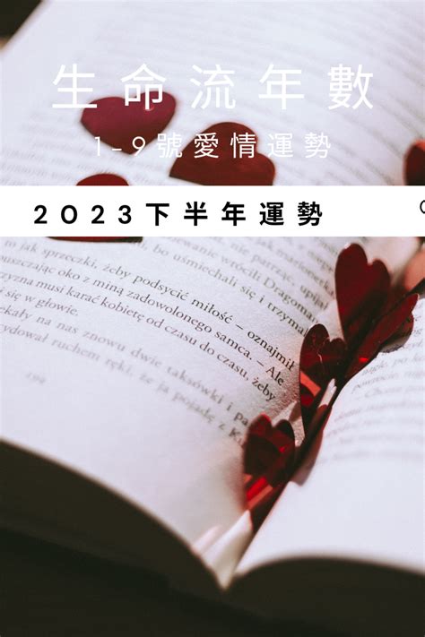 2023流年桃花|V生命靈數／ 2023下半年【愛情運勢】分析&生命流年。